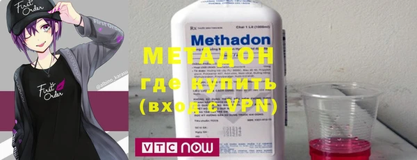 прущие грибы Михайлов