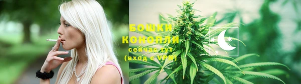 прущие грибы Михайлов