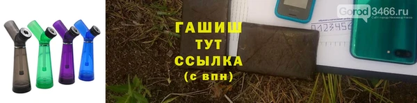 прущие грибы Михайлов