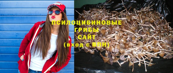 ешки Мегион