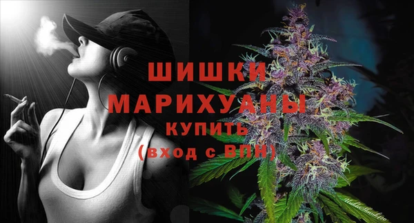 гидра Михайловск