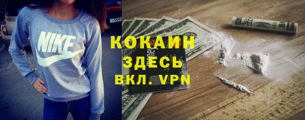 ешки Мегион