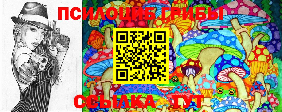 Псилоцибиновые грибы MAGIC MUSHROOMS  Галлюциногенные грибы Psilocybine cubensis  Кропоткин  Вход с VPN 